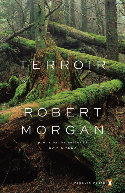 Cover image for book Terroir