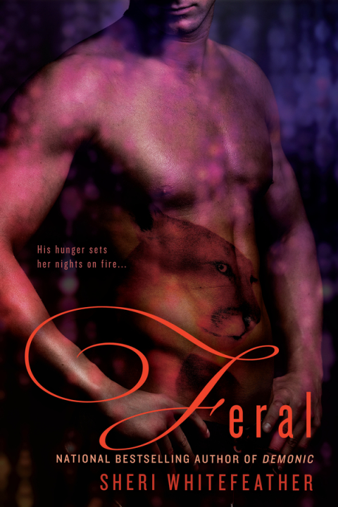 Cover image for book Feral