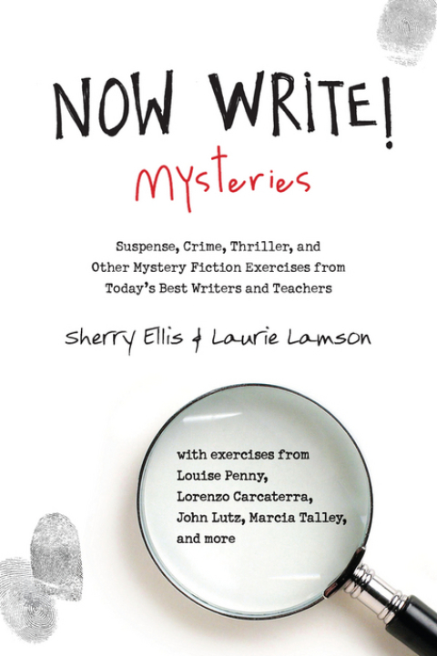 Cover image for book Now Write! Mysteries