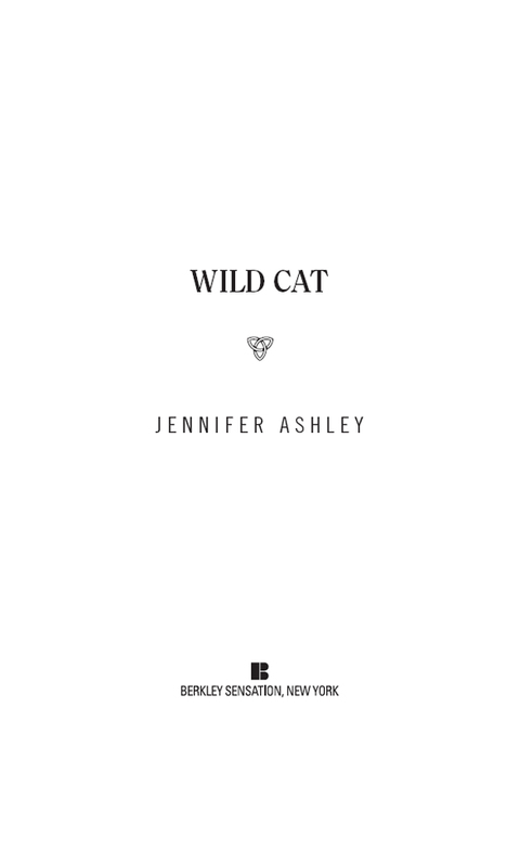 Cover image for book Wild Cat
