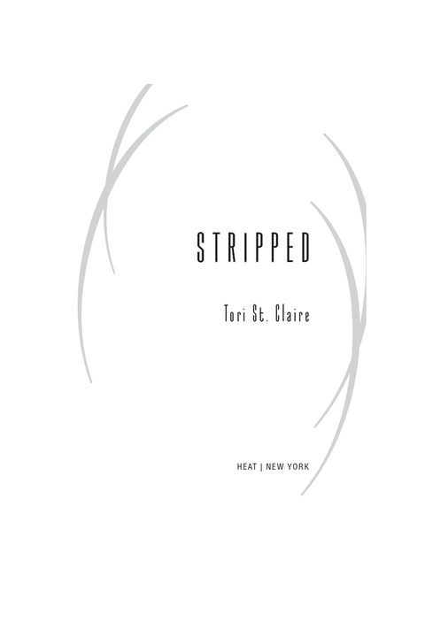 Cover image for book Stripped