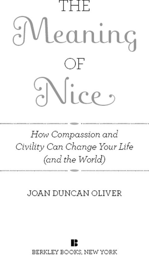 Cover image for book The Meaning of Nice