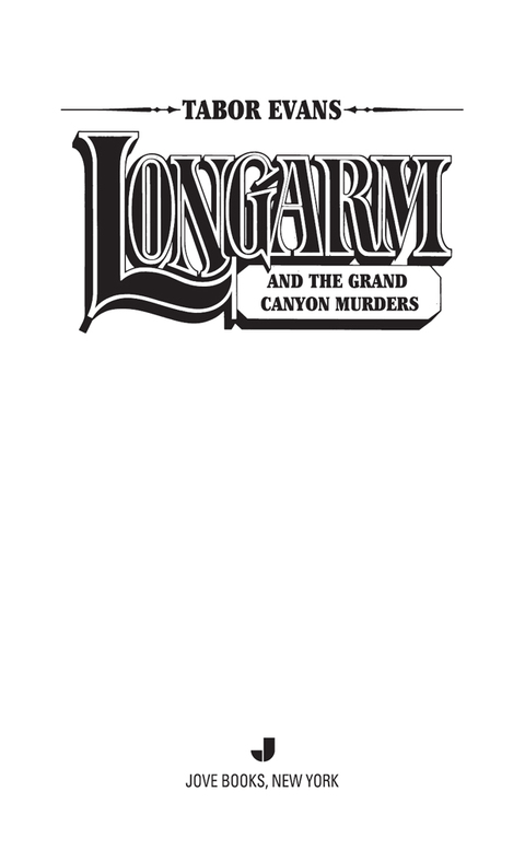 Cover image for book Longarm #399