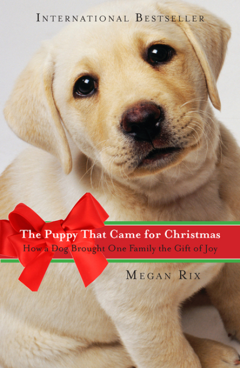 Cover image for book The Puppy That Came for Christmas
