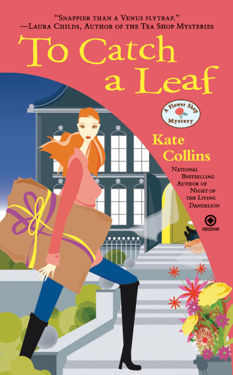Cover image for book To Catch a Leaf