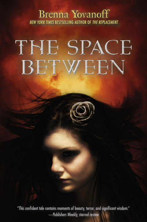 Cover image for book The Space Between