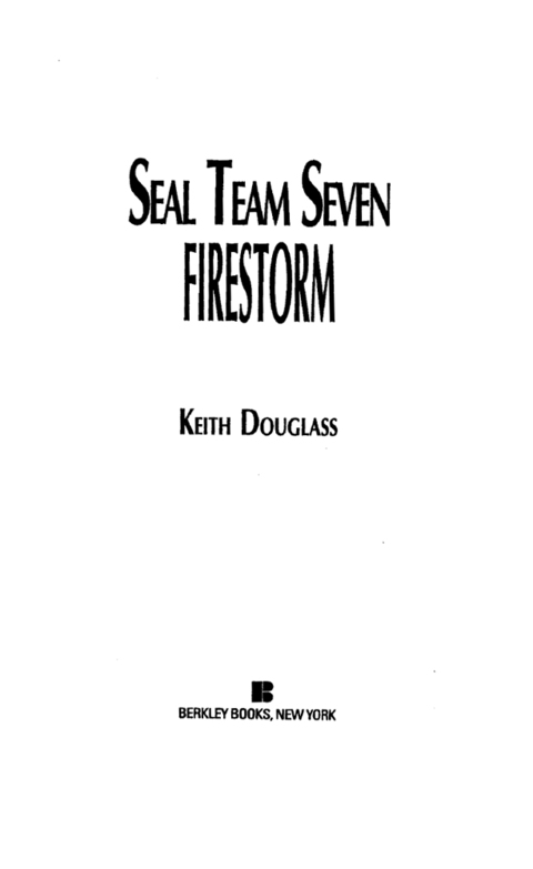 Cover image for book Seal Team Seven 05: Firestorm