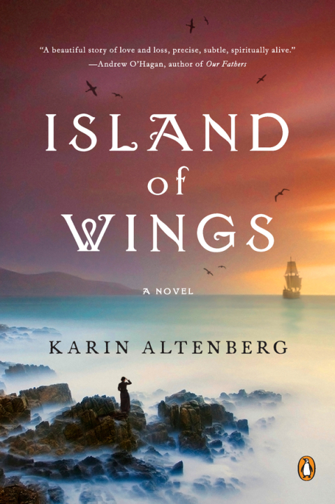 Cover image for book Island of Wings