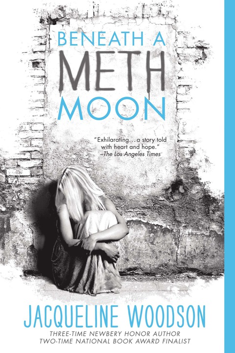 Cover image for book Beneath a Meth Moon