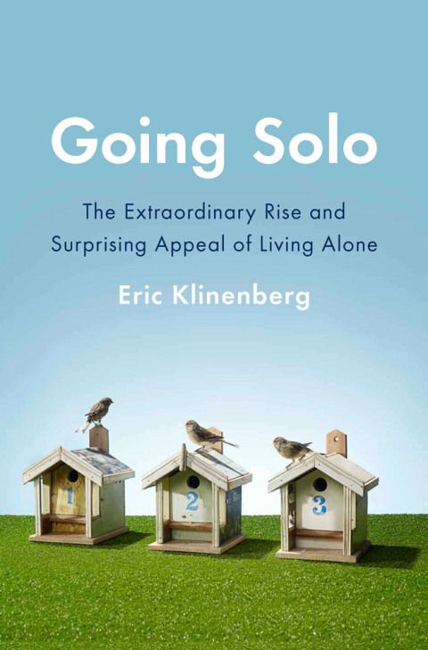 Cover image for book Going Solo