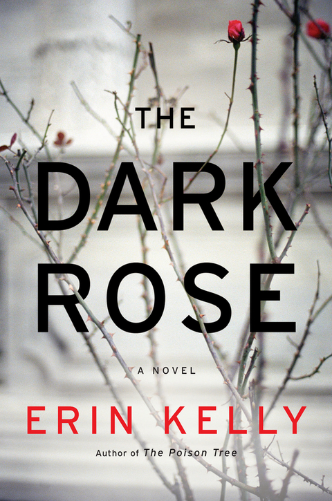 Cover image for book The Dark Rose