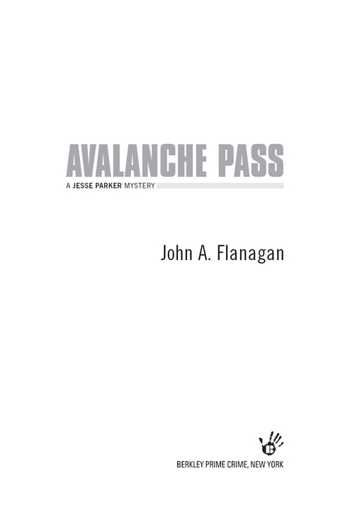 Cover image for book Avalanche Pass