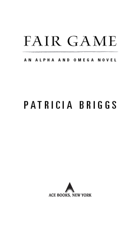 Cover image for book Fair Game