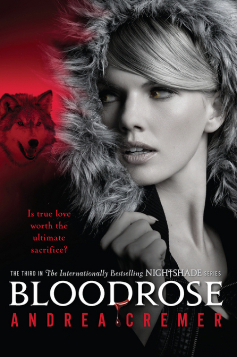 Cover image for book Bloodrose