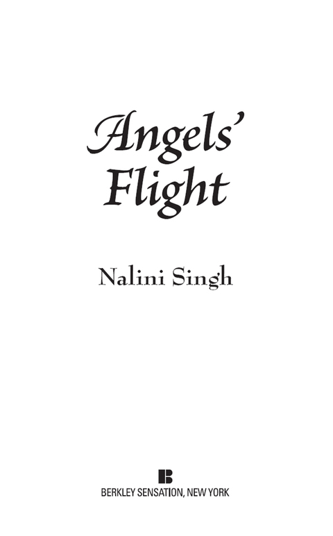 Cover image for book Angels' Flight