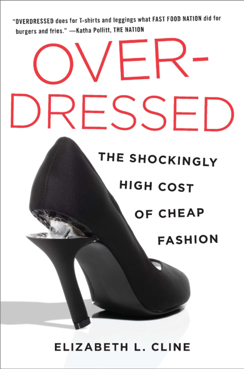 Cover image for book Overdressed
