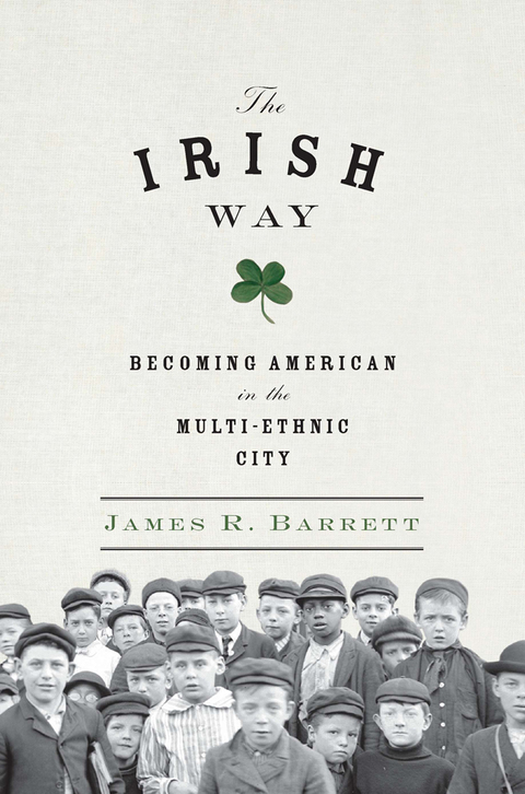 Cover image for book The Irish Way