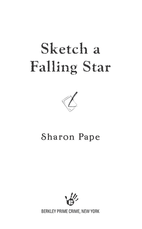 Cover image for book Sketch a Falling Star