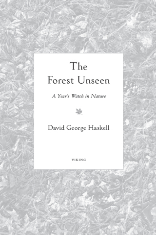 The Forest Unseen