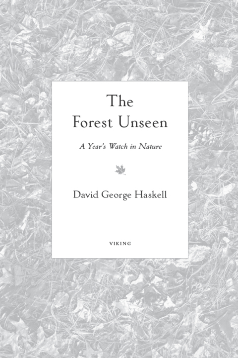Cover image for book The Forest Unseen