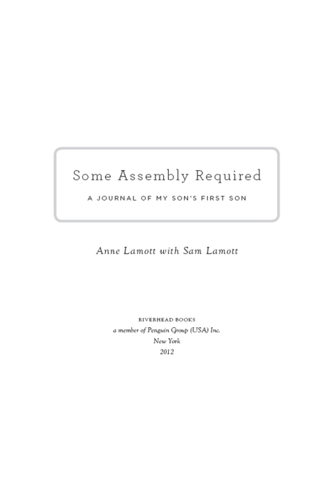 Cover image for book Some Assembly Required