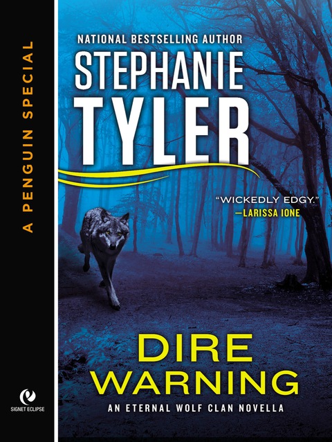 Cover image for book Dire Warning