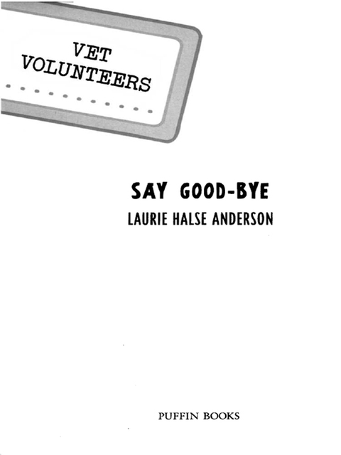 Cover image for book Say Good-bye