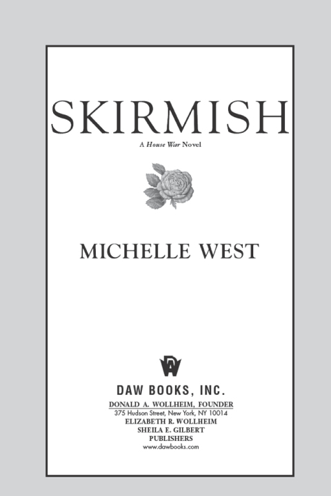 Cover image for book Skirmish