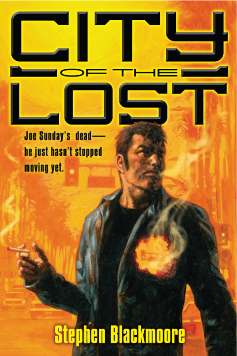 Cover image for book City of the Lost