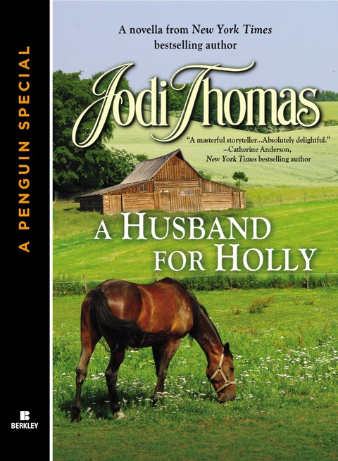 Cover image for book A Husband for Holly