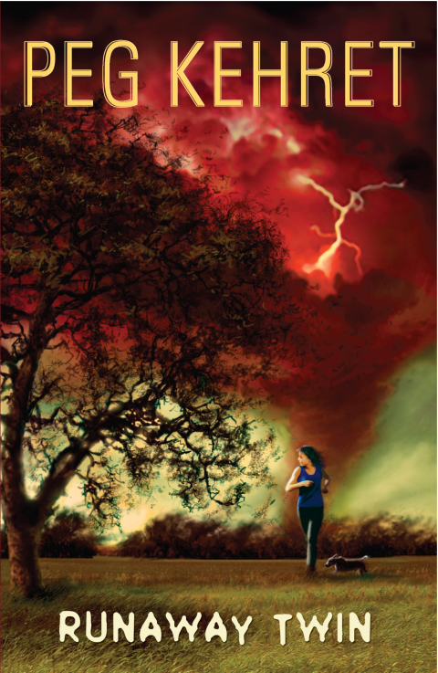 Cover image for book Runaway Twin