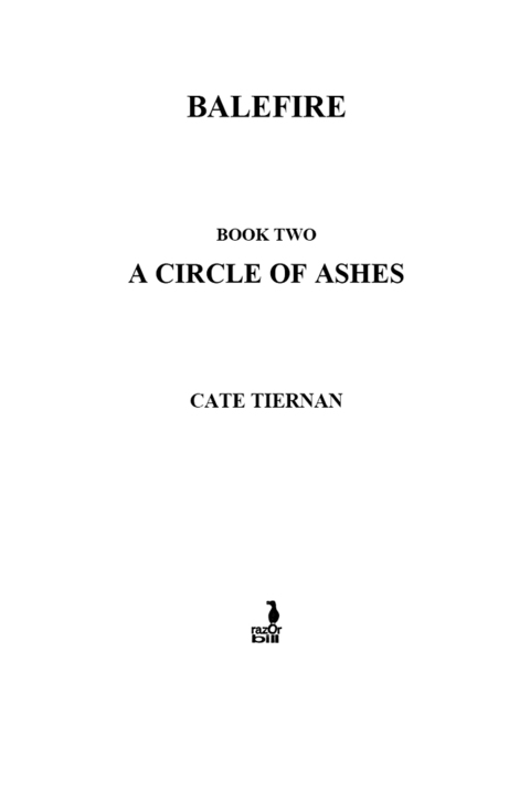 Cover image for book A Circle of Ashes #2