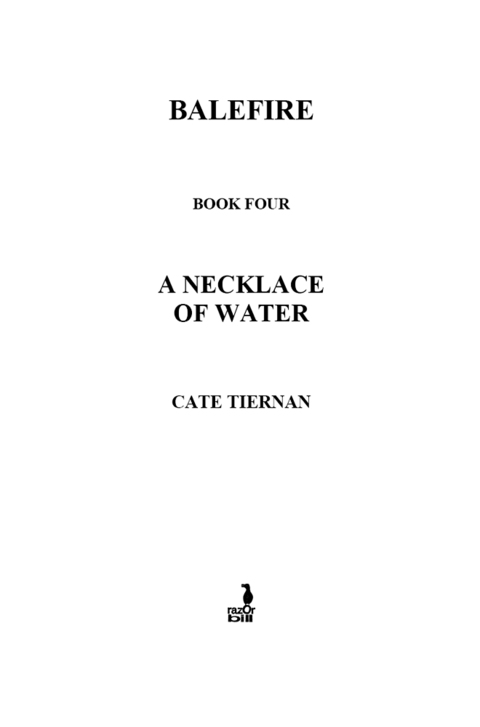 Cover image for book A Necklace of Water