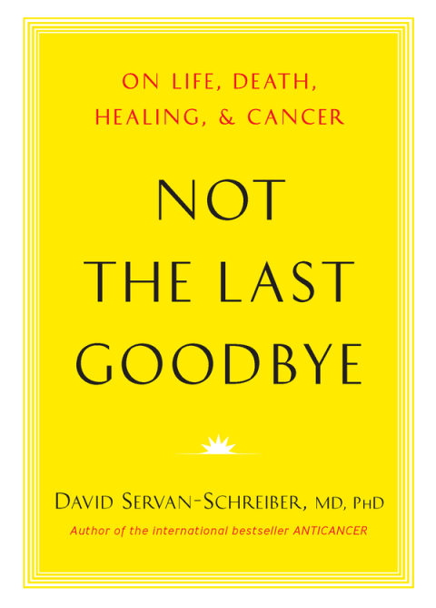 Cover image for book Not the Last Goodbye