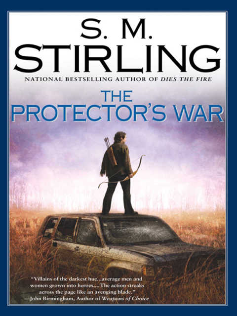 Cover image for book The Protector's War