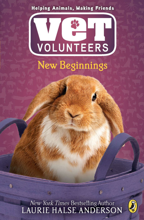 Cover image for book New Beginnings