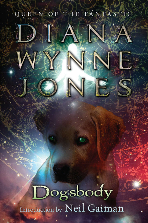 Cover image for book Dogsbody