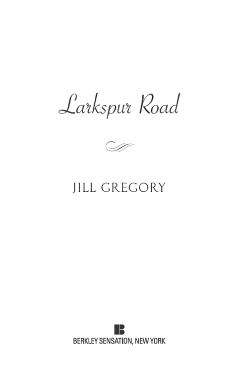 Cover image for book Larkspur Road