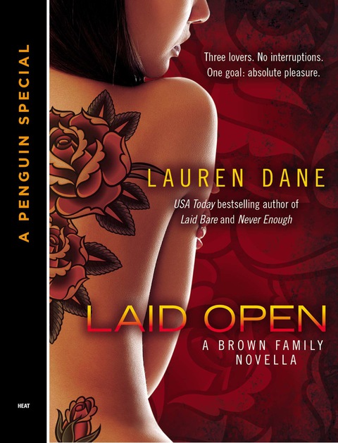 Cover image for book Laid Open