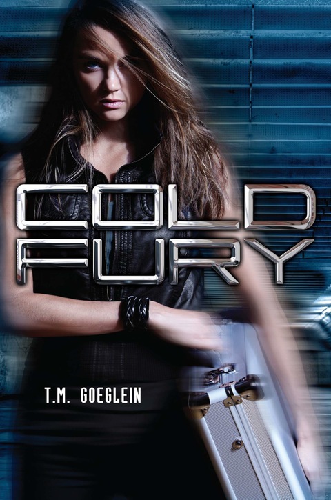 Cover image for book Cold Fury
