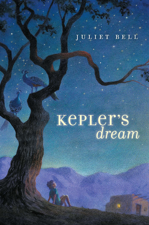 Cover image for book Kepler's Dream