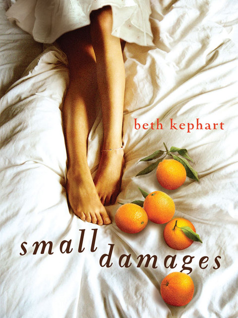 Cover image for book Small Damages