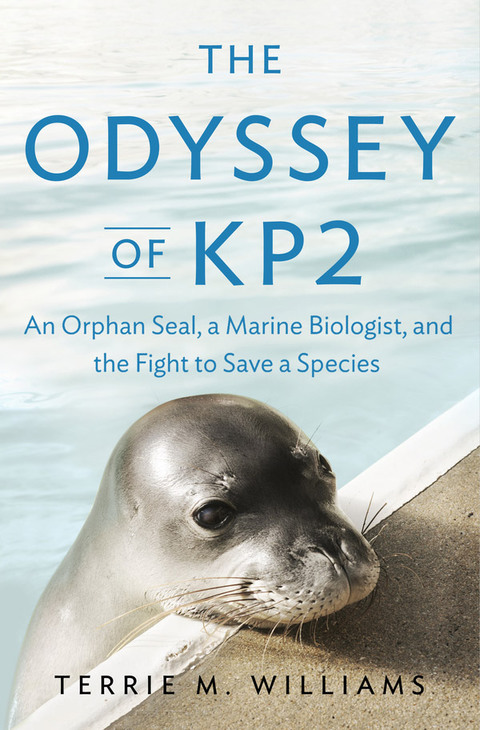 Cover image for book The Odyssey of KP2