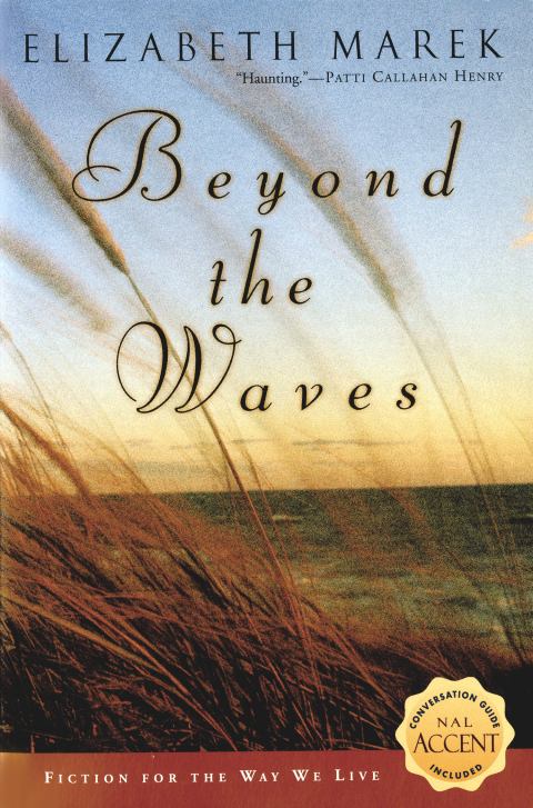 Cover image for book Beyond the Waves