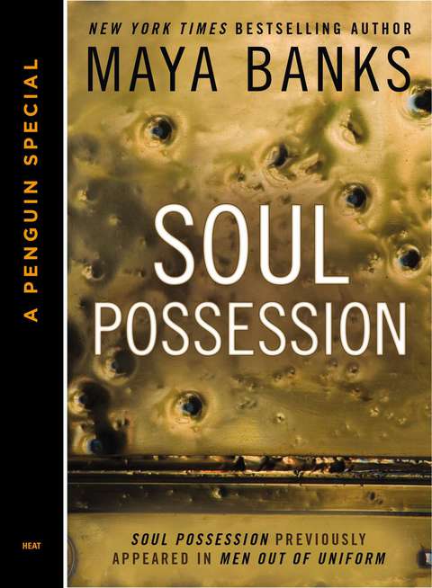 Cover image for book Soul Possession (Novella)