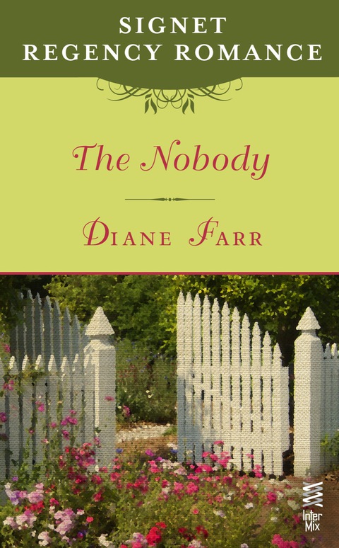 Cover image for book The Nobody