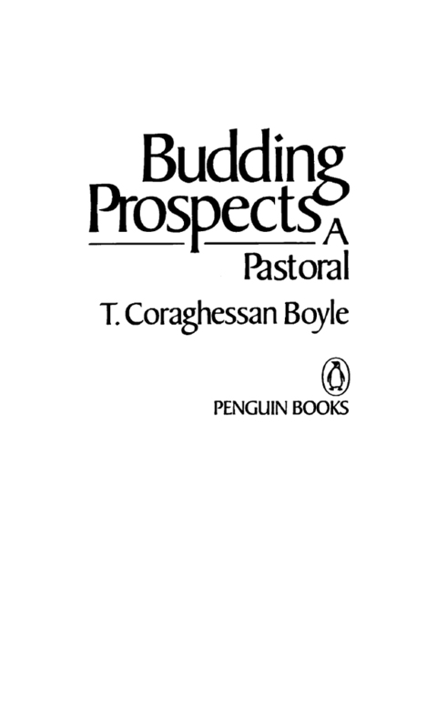 Cover image for book Budding Prospects