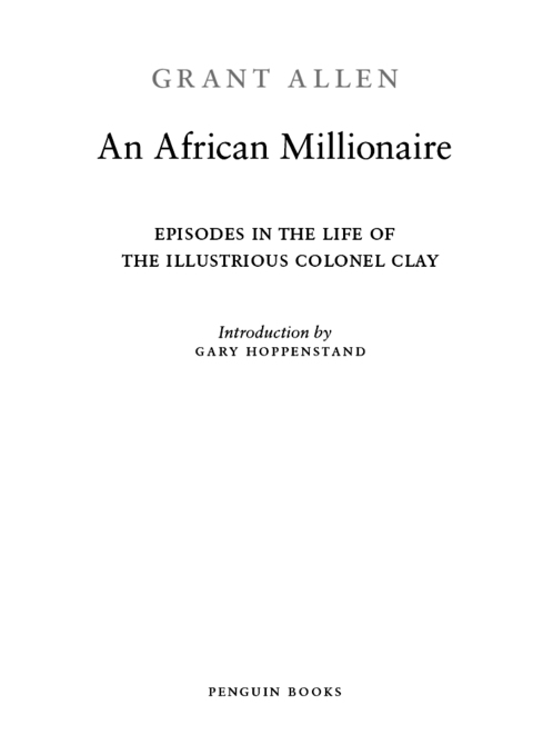 Cover image for book An African Millionaire