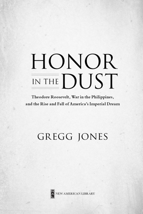 Cover image for book Honor in the Dust