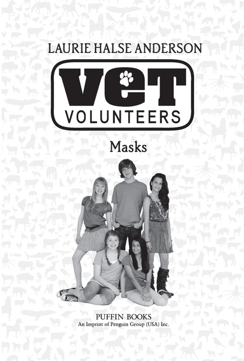 Cover image for book Masks